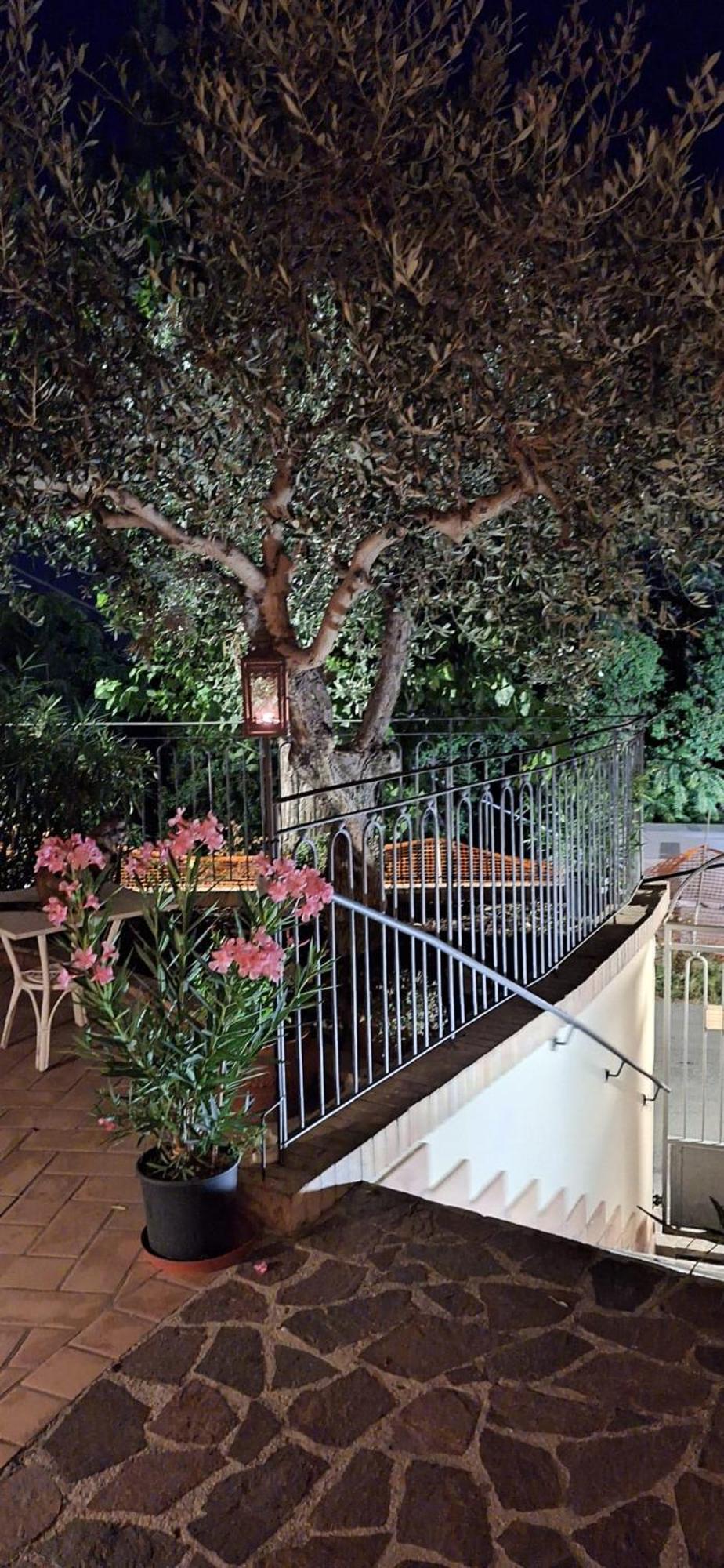 B&B Palazzo Mestichelli Boutique Palace Monteprandone Kültér fotó